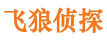 五河市婚外情调查